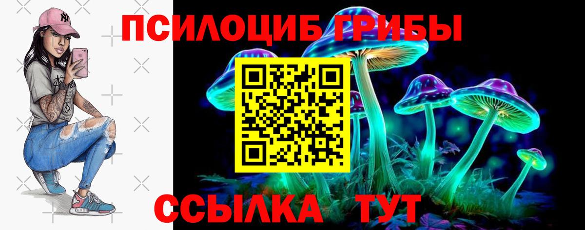 Сосновоборск  Псилоцибиновые грибы Cubensis  Вход с VPN  Галлюциногенные грибы ЛСД 
